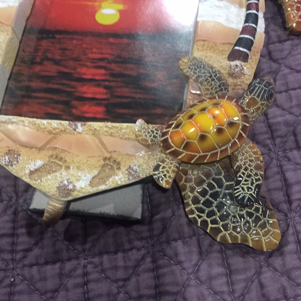 Turtle Frame - Picture 4 of 6